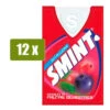 SMINT 12 X Frutas Del Bosque 8g(Smint 12 X Fruta Del Bosque 8g) -Mesa Del Sur 12xsmint frutas